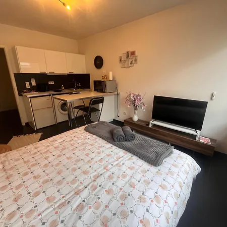 Nid Douillet De La Pie Apartment Strasbourg Exterior photo